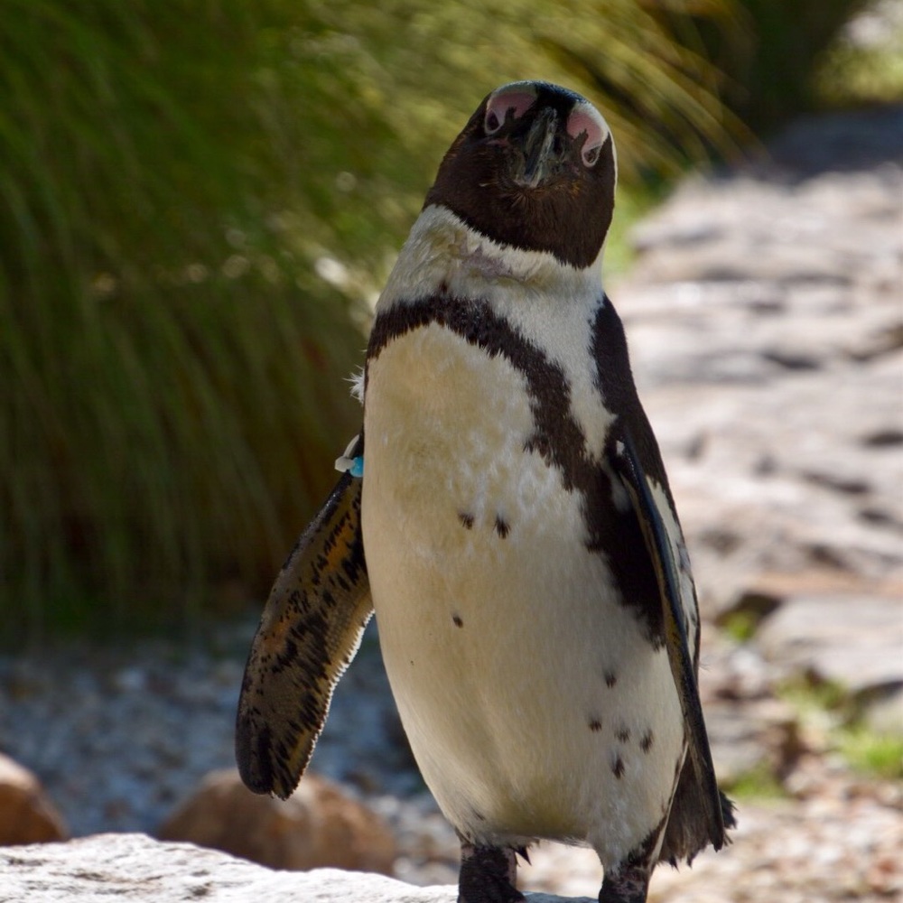 Meet your Posher, Jill